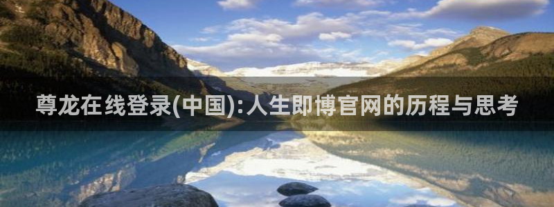 尊龙在线登录(中国):人生即博官网的历程与思考