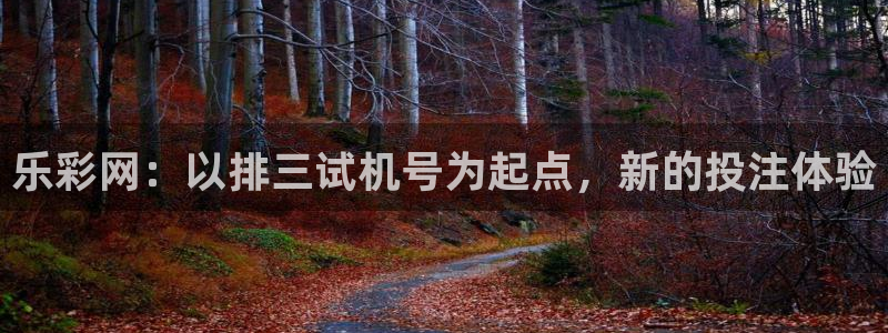 天天购彩官网