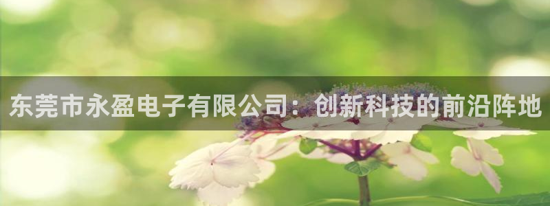 天天购彩3登录：东莞市永盈电子有限公司：创新科技的前沿阵地
