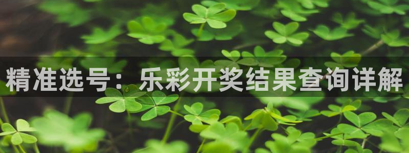 天天购彩体育注册登录入口：精准选号：乐彩开奖结果查询详解