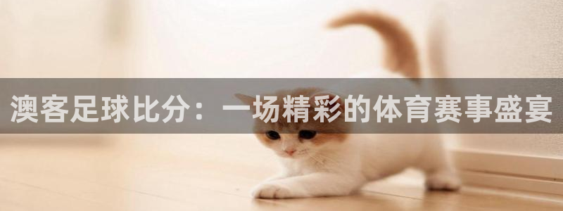 天天购彩体育注册平台：澳客足球比分：一场精彩的体育赛事盛宴