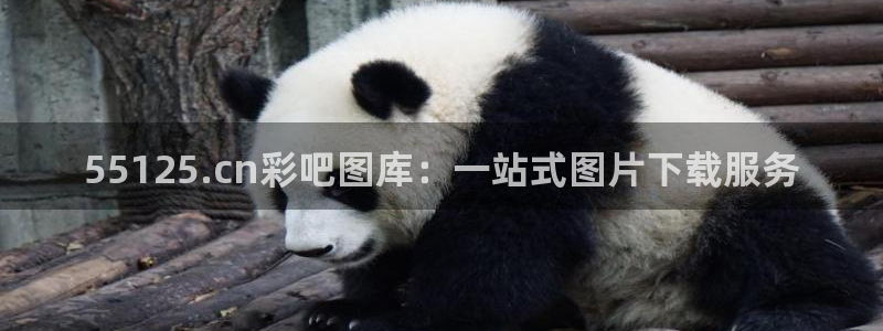 天天购彩凯捷注册：55125.cn彩吧图库：一站式图片下载服务