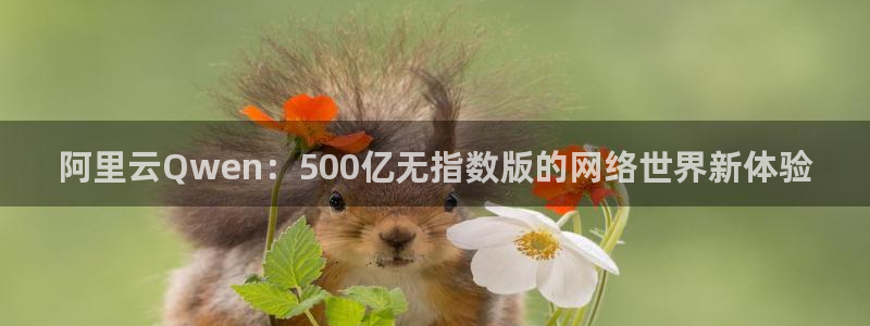 天天购彩平台：阿里云Qwen：500亿无指数版的网络世界新体验